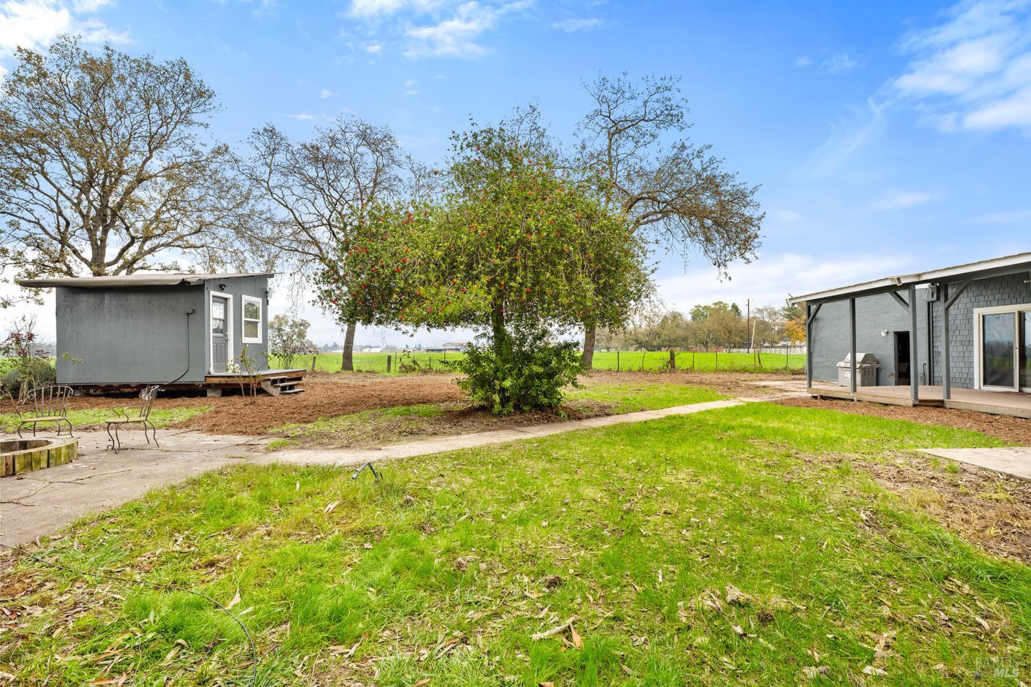 1979 Ludwig Avenue Santa Rosa, CA 95407 - Photo 43 of 52 a view of a house with backyard and a tree