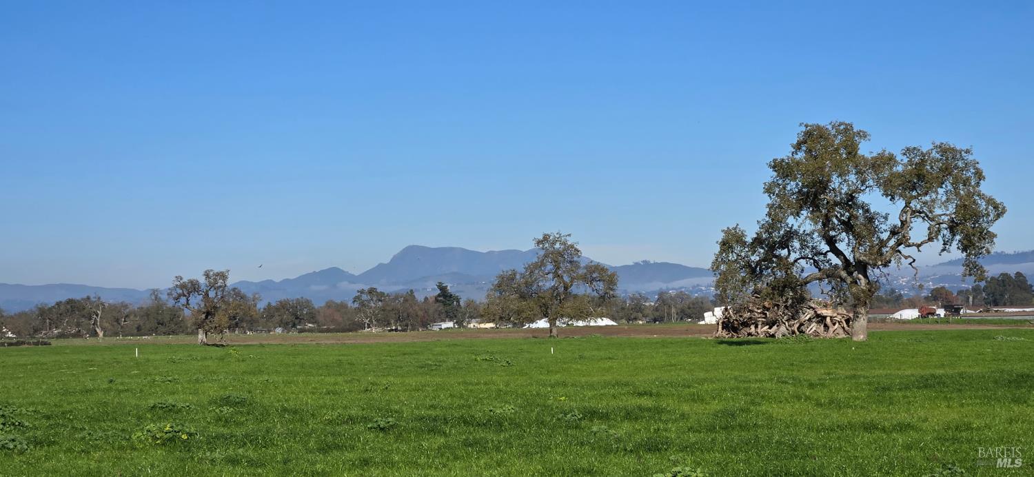 1979 Ludwig Avenue Santa Rosa, CA 95407 - Photo 46 of 52 a view of outdoor space and yard