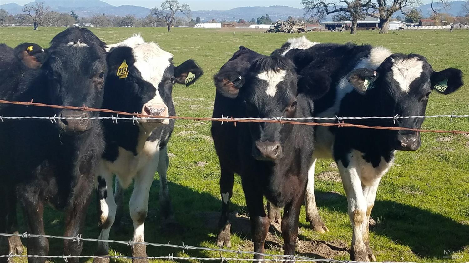 1979 Ludwig Avenue Santa Rosa, CA 95407 - Photo 48 of 52