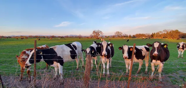 $975,000 | 1979 Ludwig Avenue, Santa Rosa, CA 95407