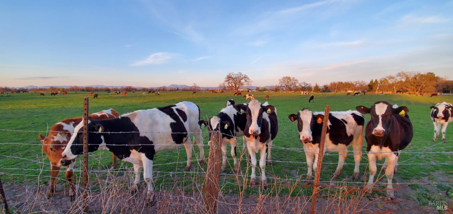 1979 Ludwig Avenue Santa Rosa, CA 95407 - Photo 50 of 52