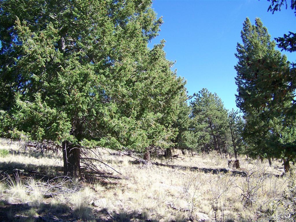 Redhill Road Fairplay, CO 80440 - Photo 1 of 4 Gallery Image 1