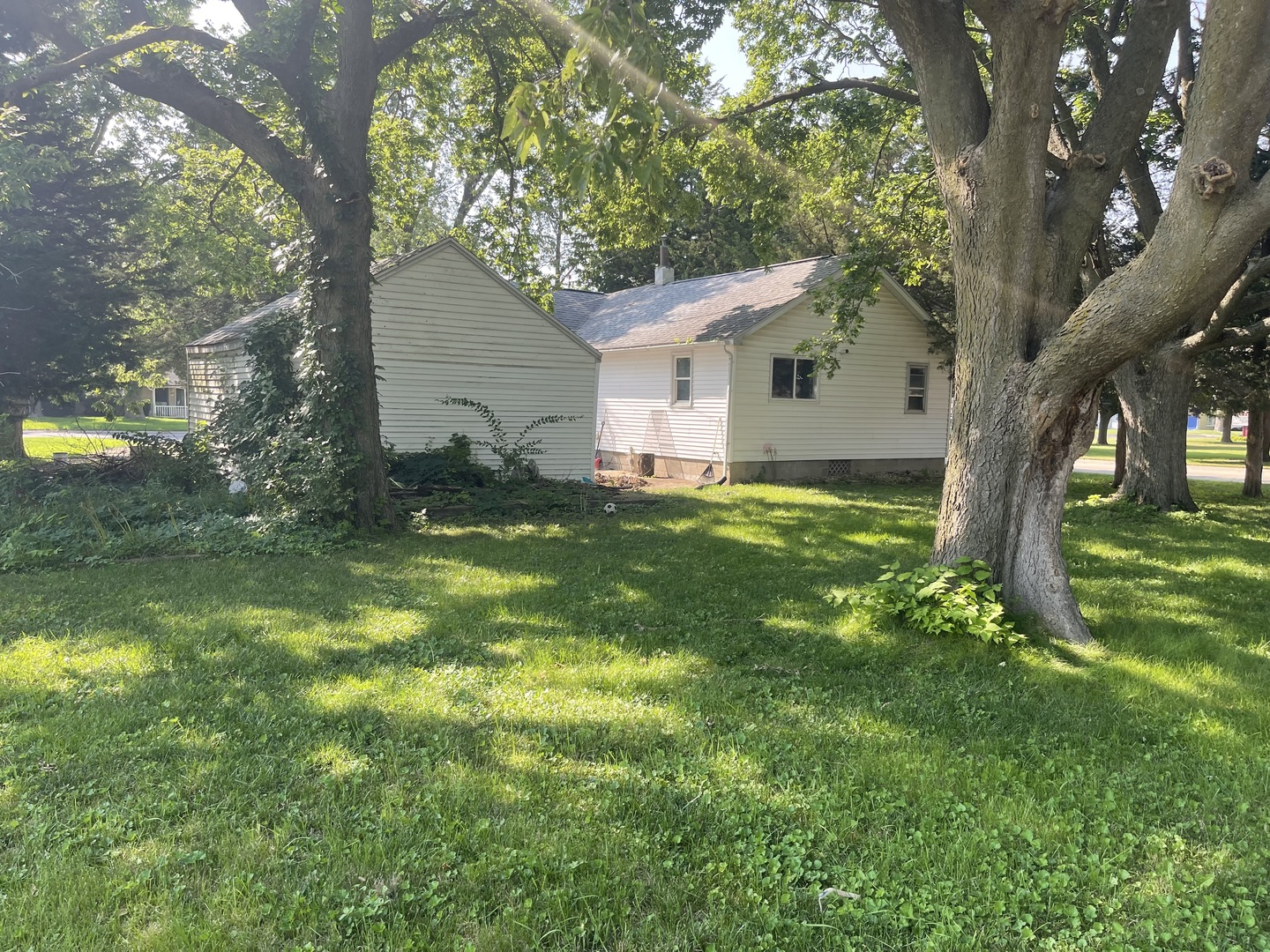 1824 16th Avenue Sterling, IL 61081 - Photo 24 of 26 a backyard of a house with plants and large tree