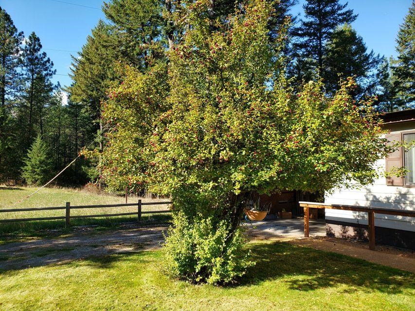 7 Barstow Bridge Road Kettle Falls, WA 99141 - Photo 8 of 22 Gallery Image 8