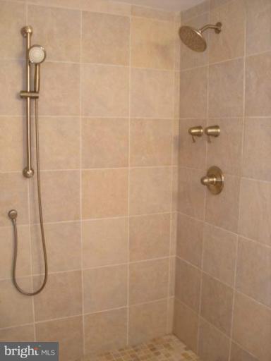 4520 Braddock Road Alexandria, VA 22312 - Photo 1 of 30 Lower Level Bath with walk-in shower