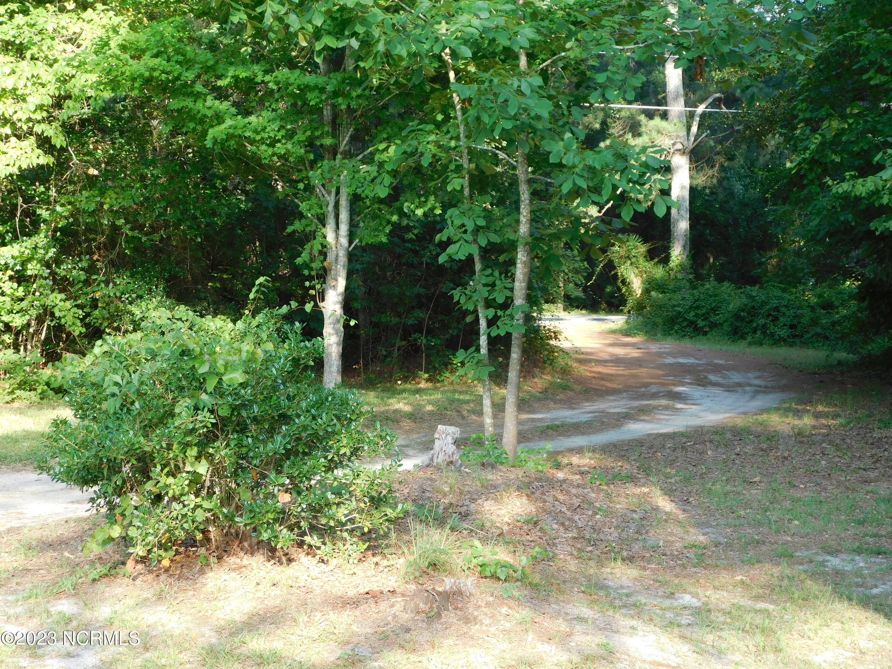 14181 Old Stage Road Gibson, NC 28343 - Photo 106 of 106 shared Drive way