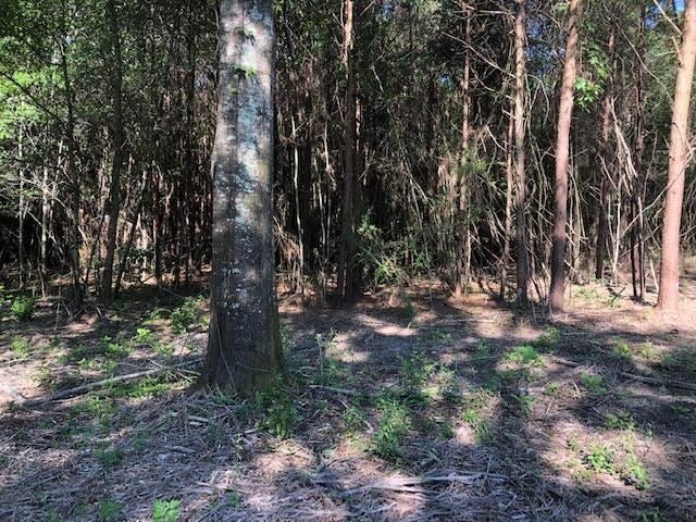 2-lot Dyess Dairy Road Opp, AL 36467 - Photo 7 of 12 Gallery Image 7