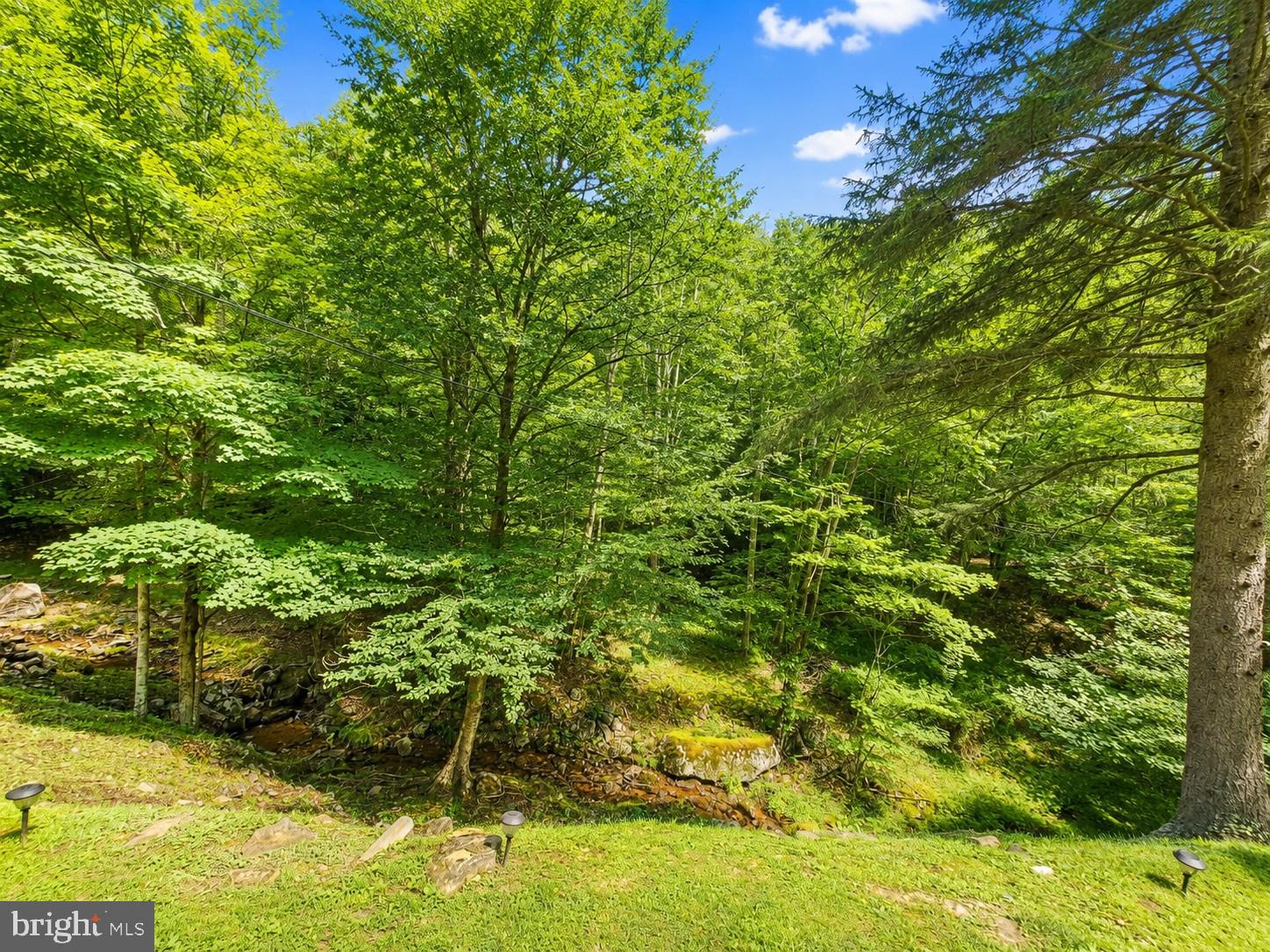 14107 Back Mountain Road Durbin, WV 26264 - Photo 45 of 59 Gallery Image 45