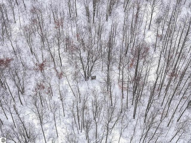 0 West Falmouth Road Cadillac, MI 49601 - Photo 10 of 37 10