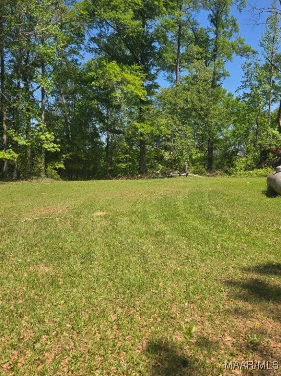 1461 Gardner Road Grady, AL 36036 - Photo 8 of 36 Gallery Image 8