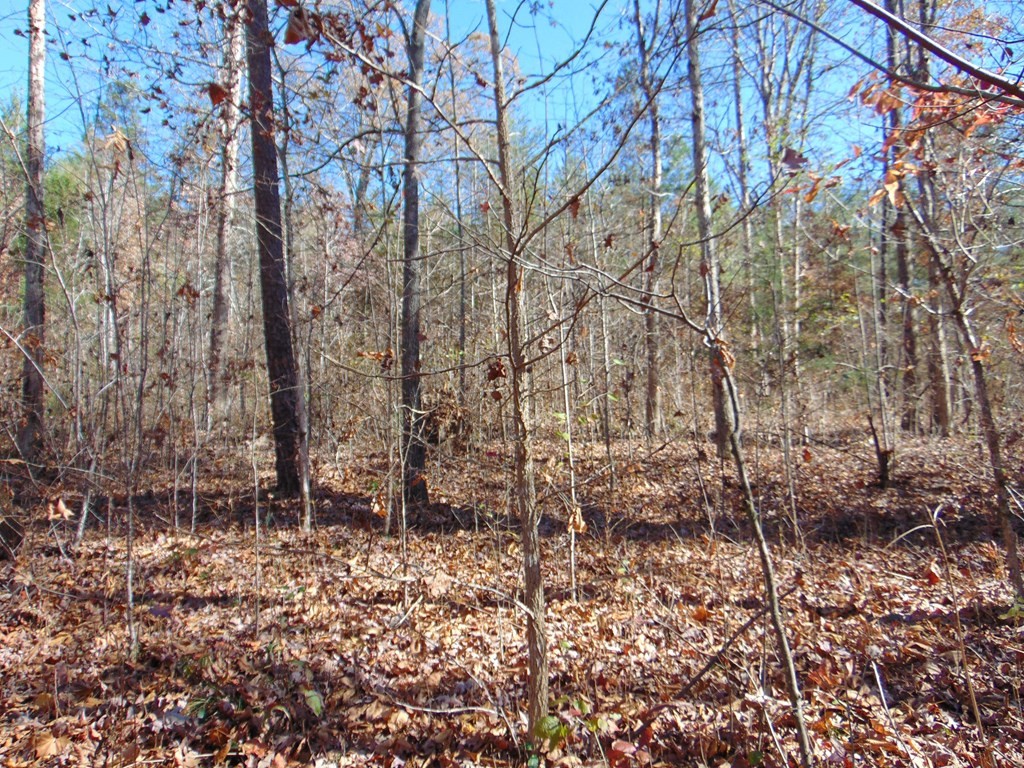 463 Co Road Englewood, TN 37329 - Photo 19 of 28