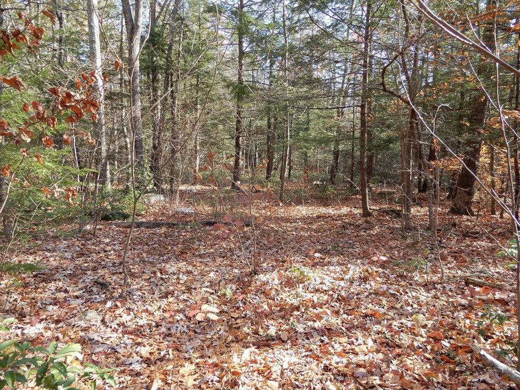 34 Crooked Ledge Road Southampton, MA 01073 - Photo 10 of 11 Gallery Image 10