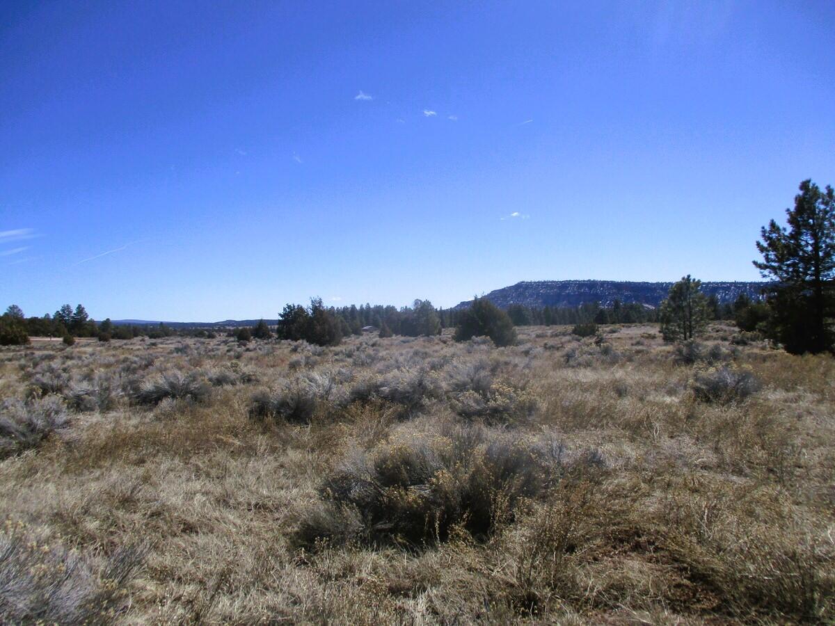 Lot 10 Sagebrush Road Ramah, NM 87321 - Photo 38 of 90 Gallery Image 38