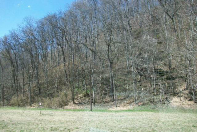 28.6-ac Dry Creek Road Moss, TN 38575 - Photo 4 of 12 02
