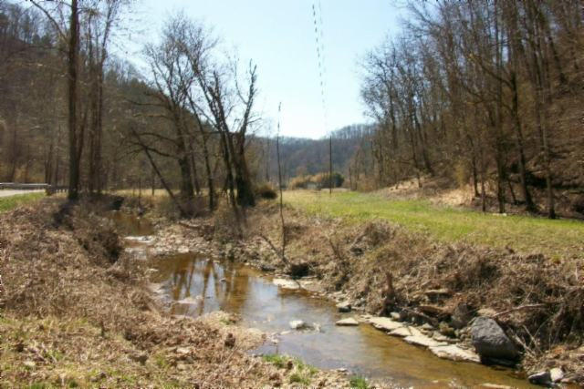 28.6-ac Dry Creek Road Moss, TN 38575 - Photo 5 of 12 03