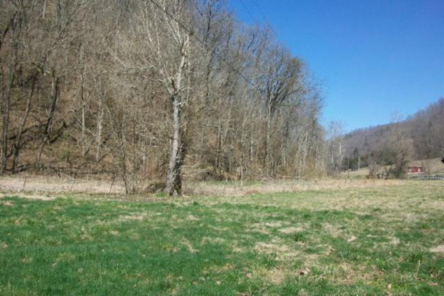 28.6-ac Dry Creek Road Moss, TN 38575 - Photo 6 of 12 05