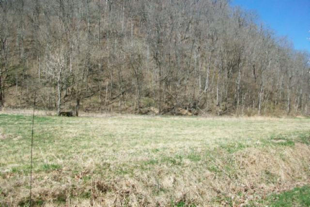 28.6-ac Dry Creek Road Moss, TN 38575 - Photo 7 of 12 07