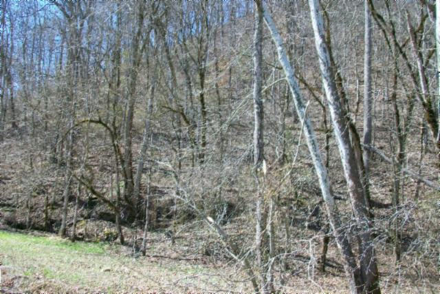 28.6-ac Dry Creek Road Moss, TN 38575 - Photo 9 of 12 09