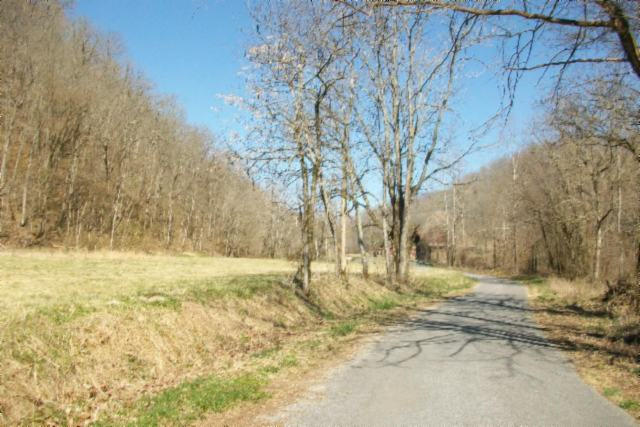 28.6-ac Dry Creek Road Moss, TN 38575 - Photo 10 of 12 10