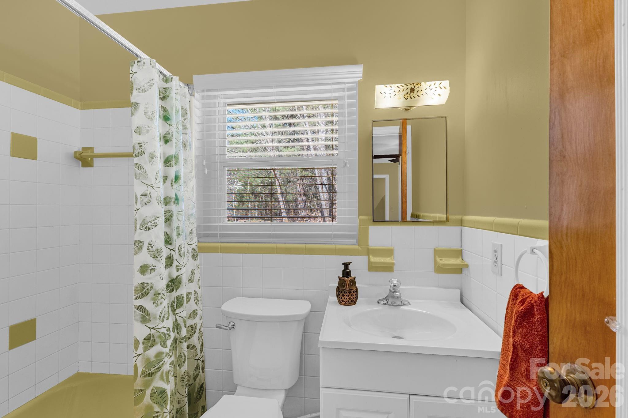 87 Rockwood Road Waynesville, NC 28786 - Photo 36 of 45 a bathroom with a sink a toilet and shower curtain