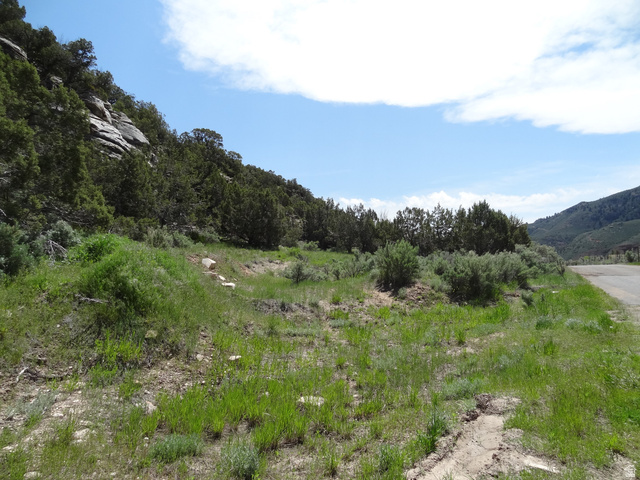 8578 West Red Cloud Loop Road Vernal, UT 84078 - Photo 3 of 25 Natural terrain with varied vegetation, including mature trees and grassy areas