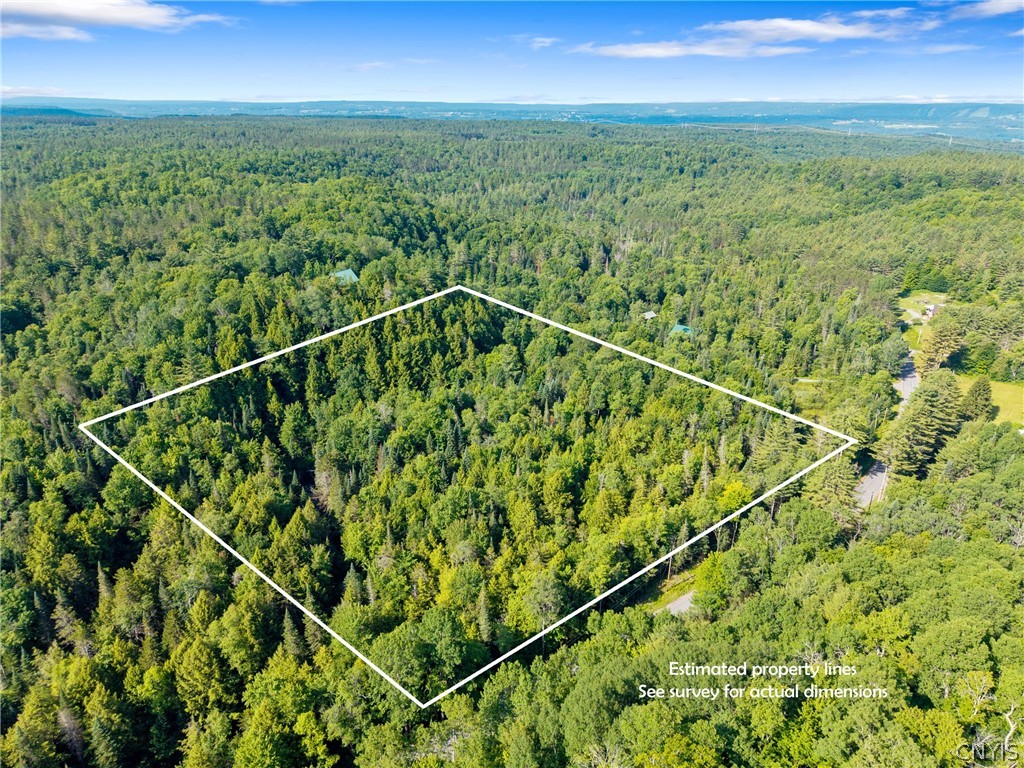 Fish Creek Road Greig, NY 13345 - Photo 8 of 14