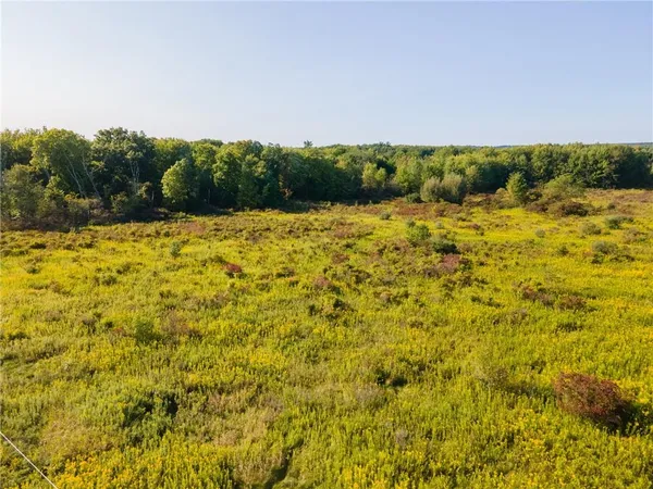a view of a field with a big yard