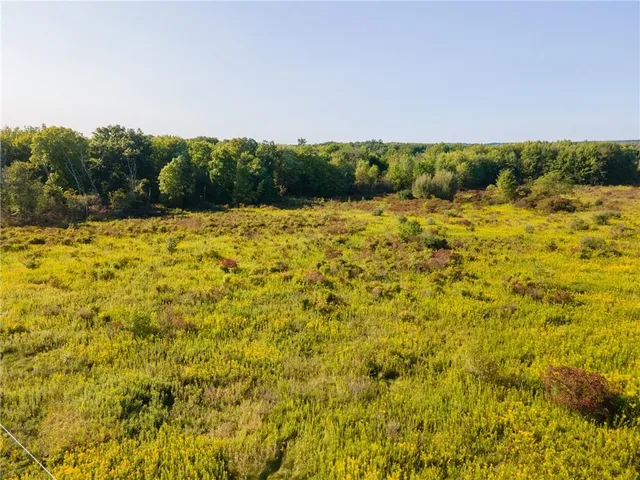 a view of a field with a big yard
