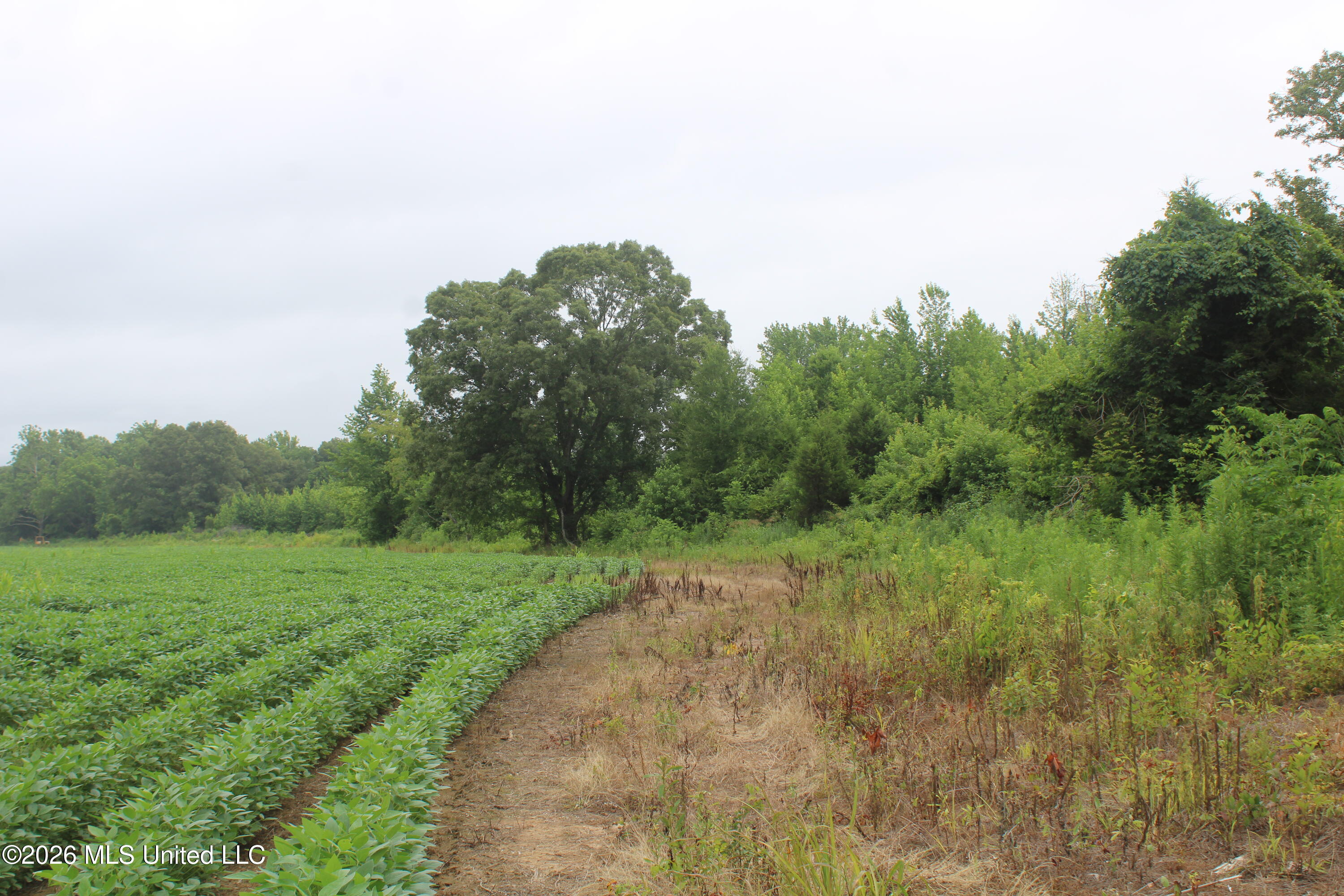 1500 Allen Corner Road Lamar, MS 38642 - Photo 15 of 17 IMG_7984