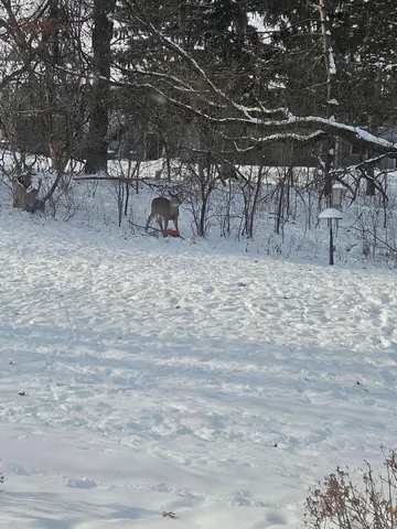 $439,900 | 12118 Bluebird Circle Northwest, Coon Rapids, MN 55448