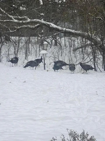 $439,900 | 12118 Bluebird Circle Northwest, Coon Rapids, MN 55448