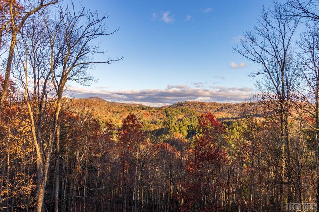 768 Squirrel Hunting Road Cullowhee, NC 28723 - Photo 33 of 37 Gallery Image 33