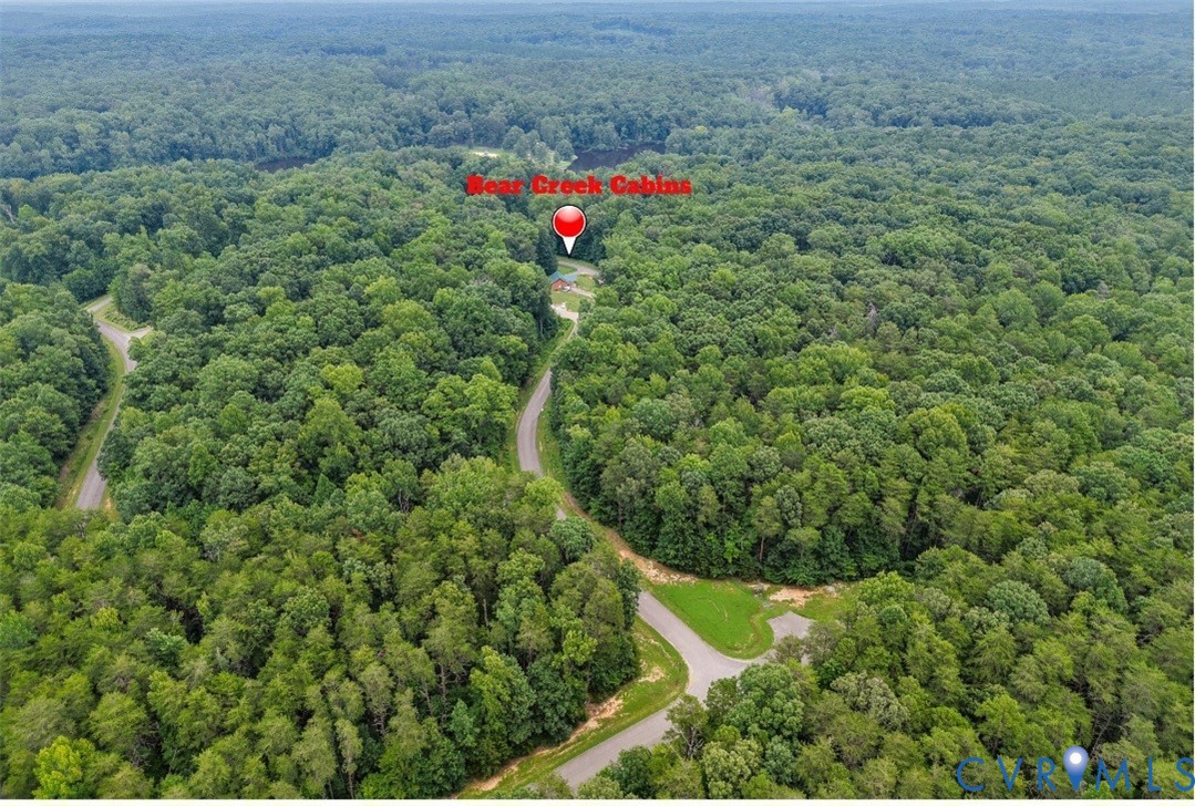 178 Barter Hill Road Cumberland, VA 23040 - Photo 25 of 34 Aerial view of a forest