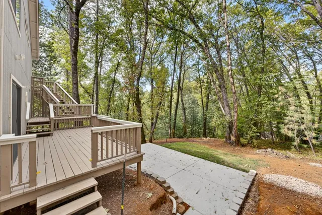 a view of a yard with plants and large trees