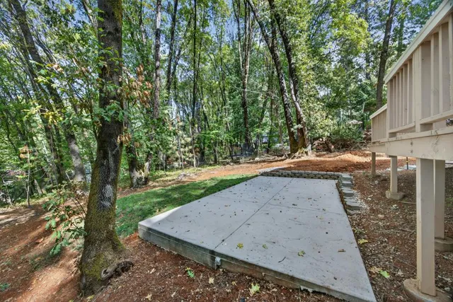 a view of a yard with plants and large trees