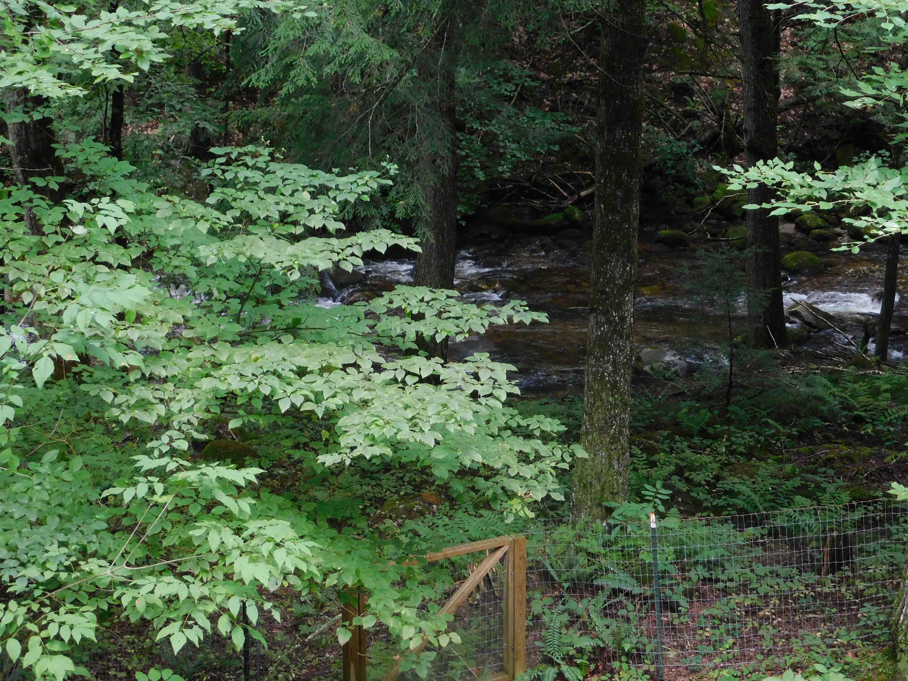2813 Furnace Brook Road Chittenden, VT 05763 - Photo 23 of 29