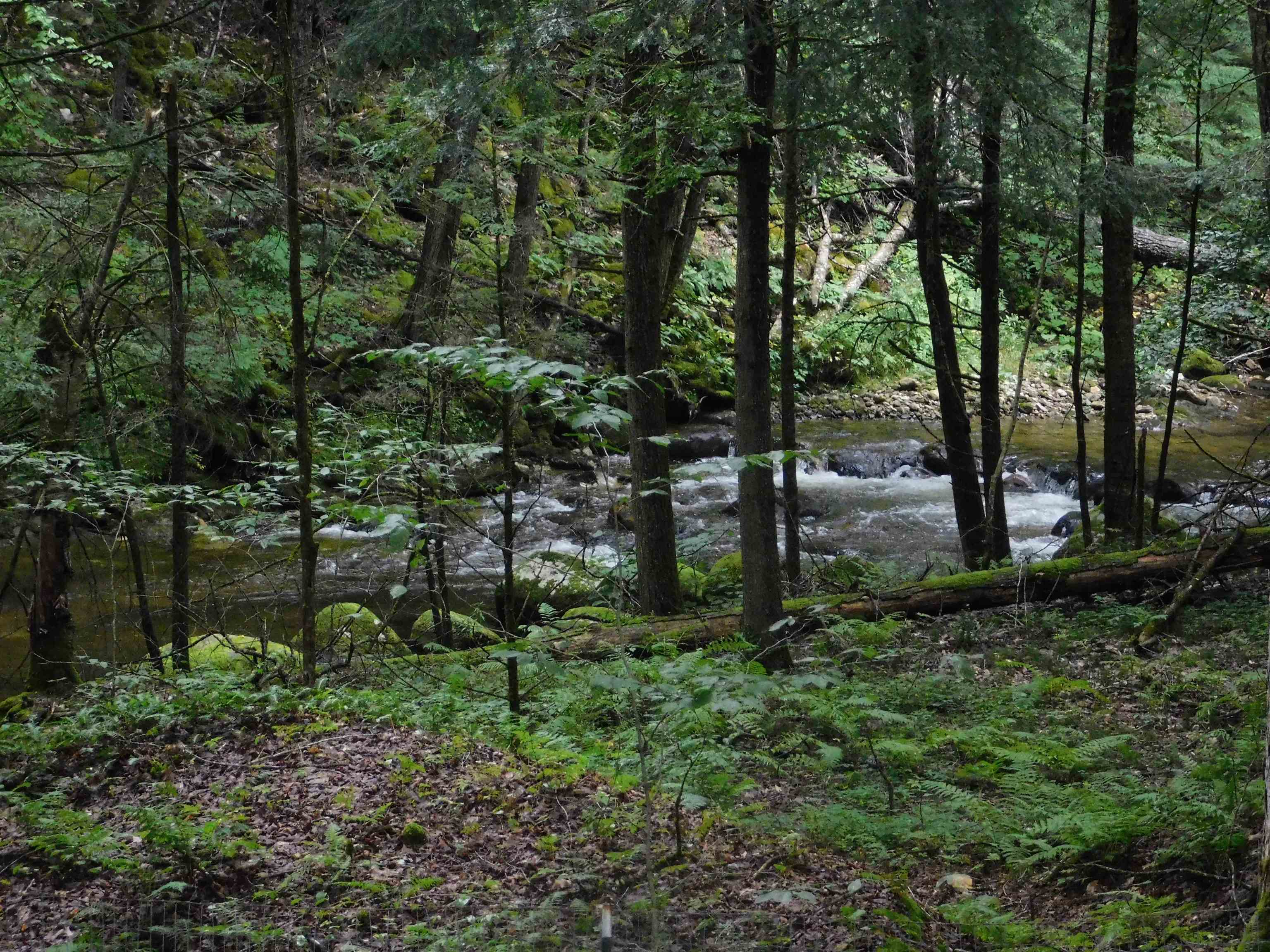 2813 Furnace Brook Road Chittenden, VT 05763 - Photo 25 of 29