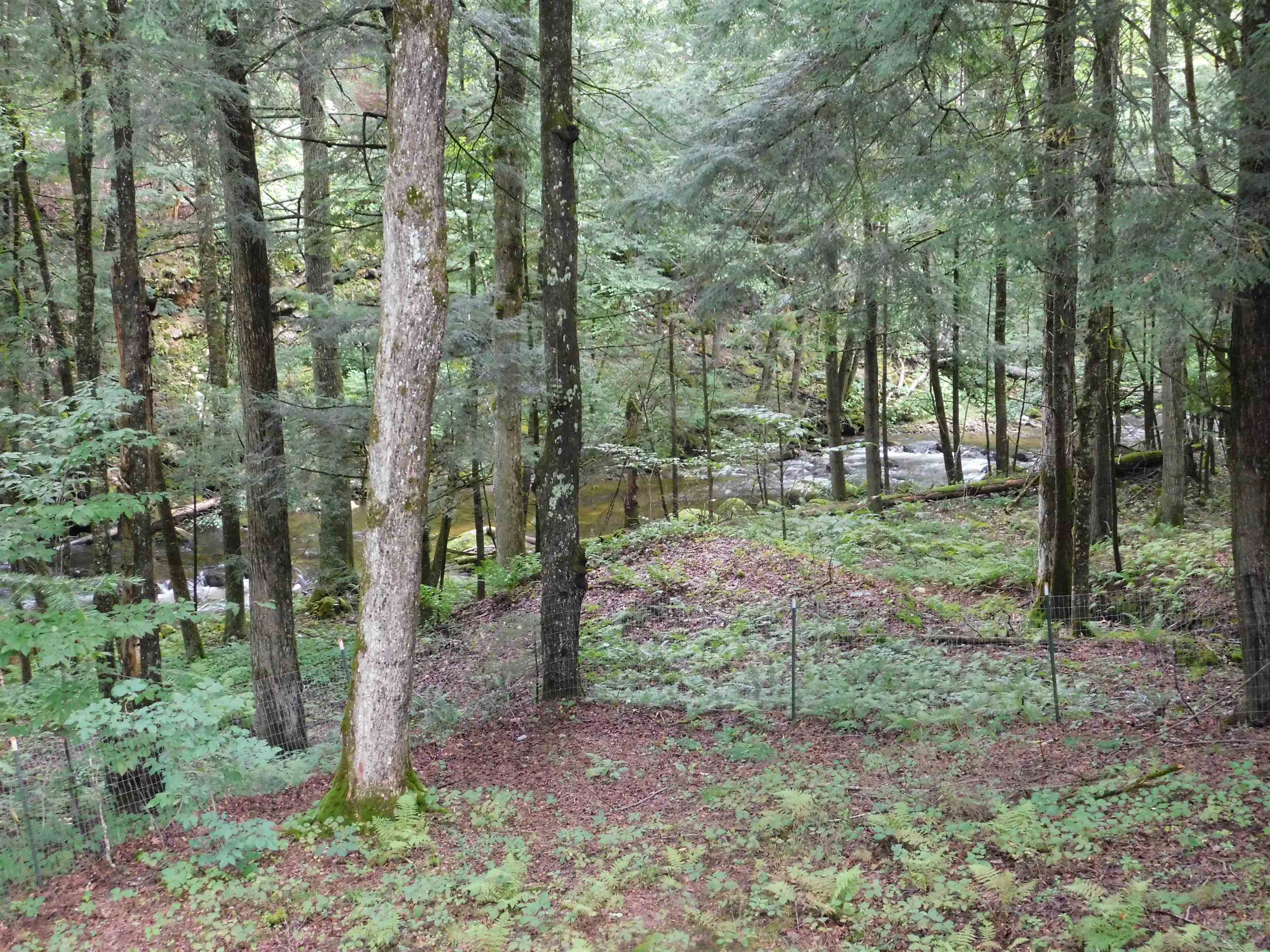 2813 Furnace Brook Road Chittenden, VT 05763 - Photo 27 of 29