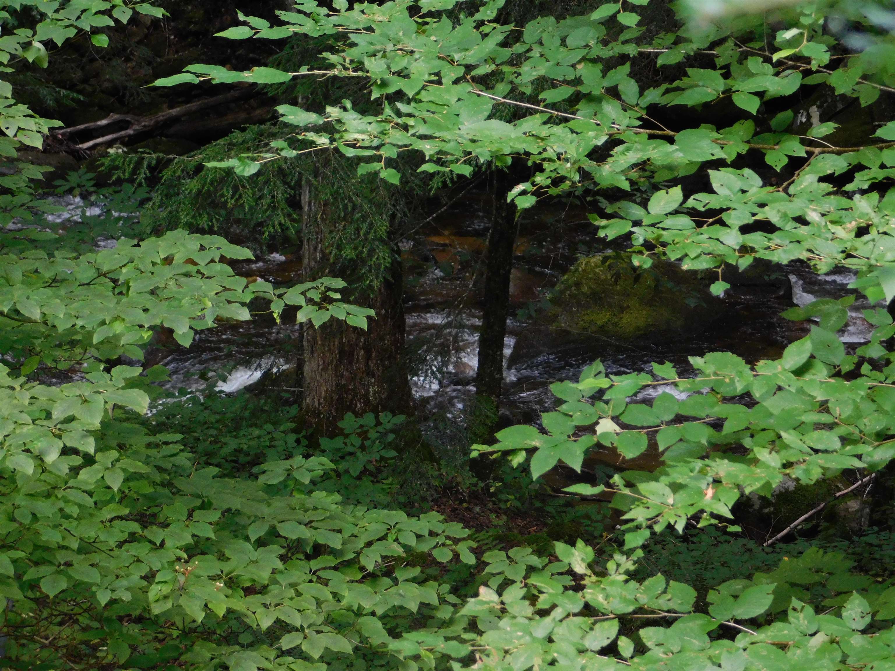 2813 Furnace Brook Road Chittenden, VT 05763 - Photo 28 of 29