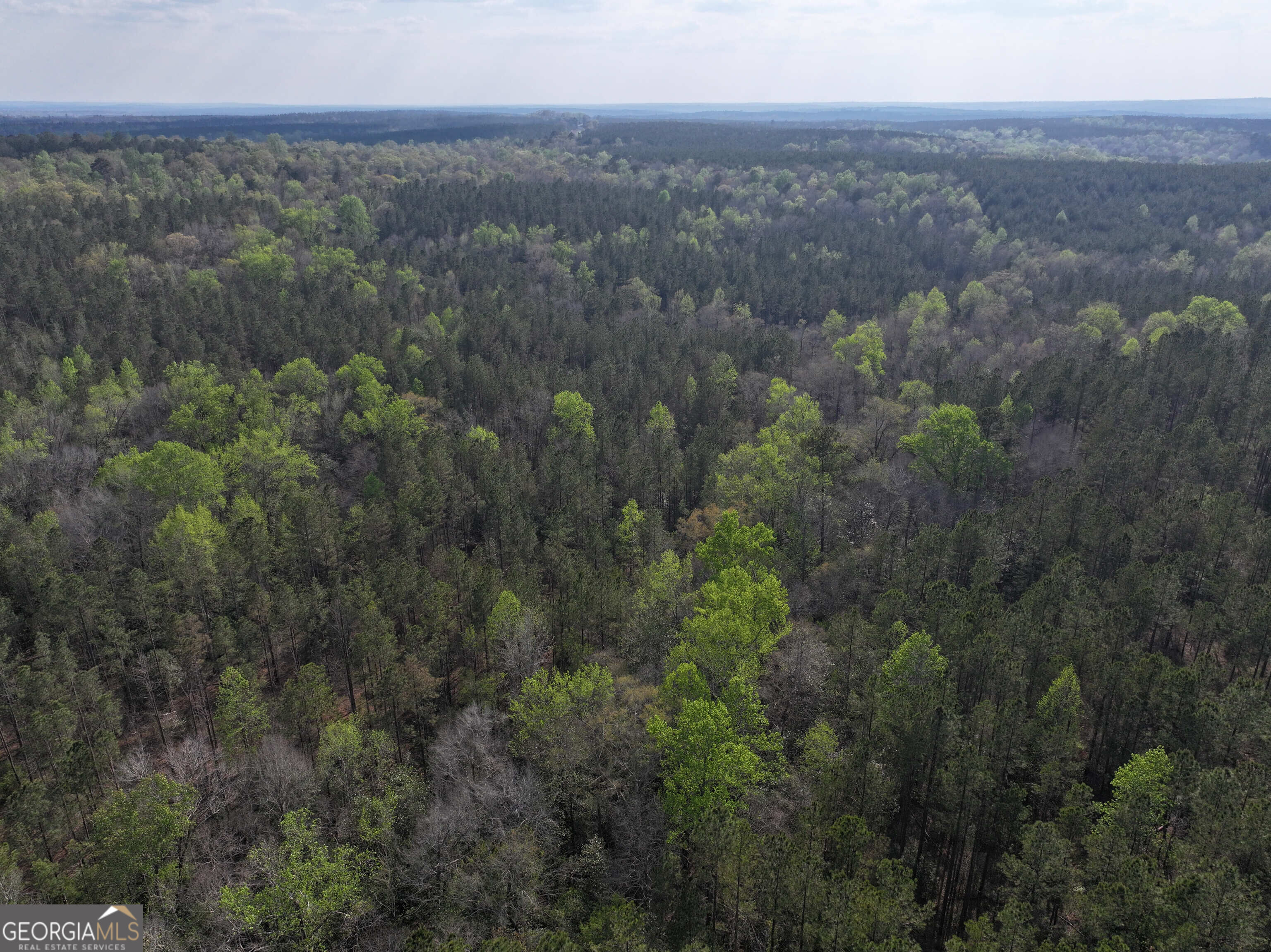 195 County Line Road Morris, GA 39867 - Photo 39 of 69 Gallery Image 39