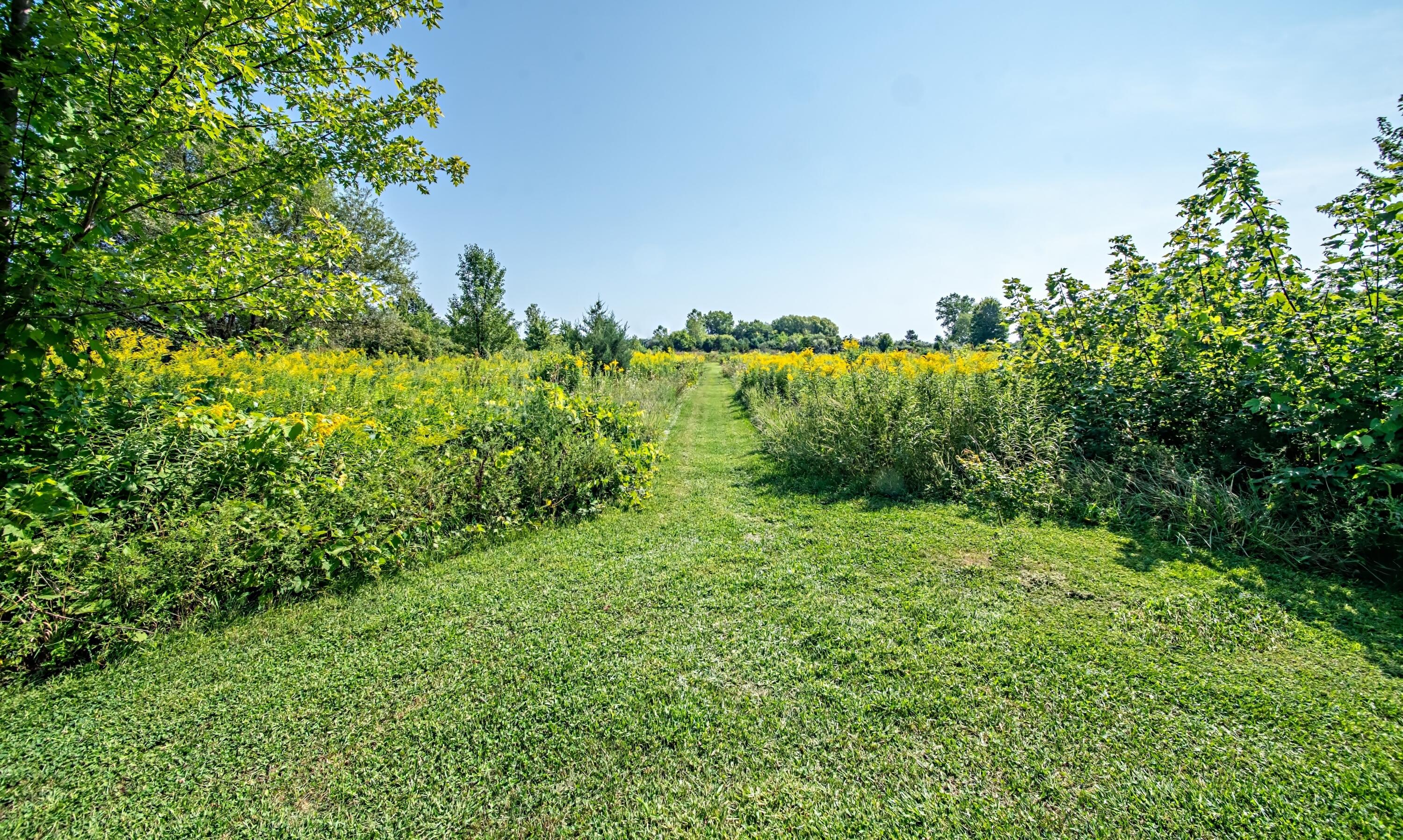 9203 Date Road Baroda, MI 49101 - Photo 29 of 35 DSC02880_