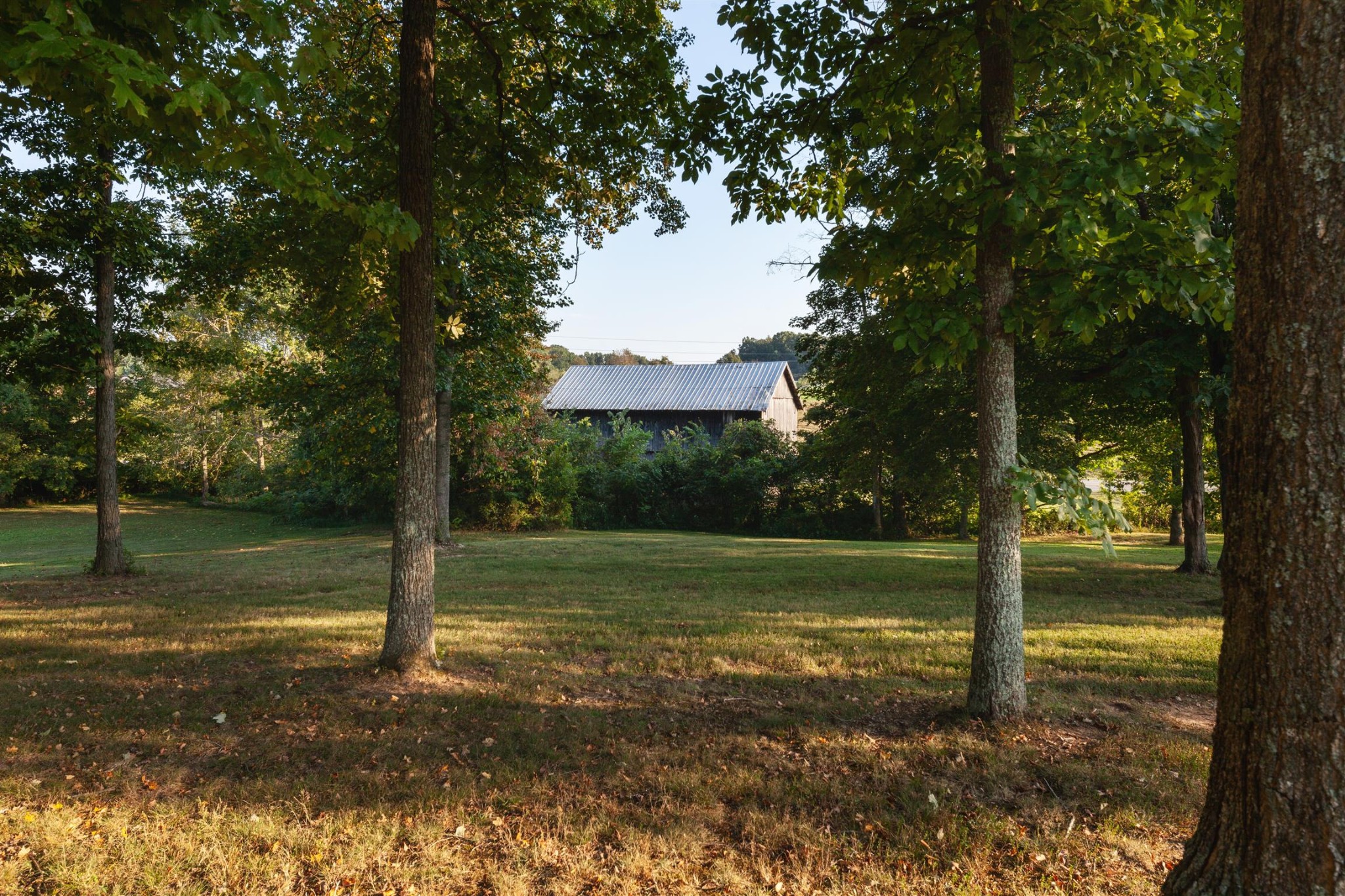 2732 Jack Teasley Road Pleasant View, TN 37146 - Photo 25 of 31 a view of a tree in a yard