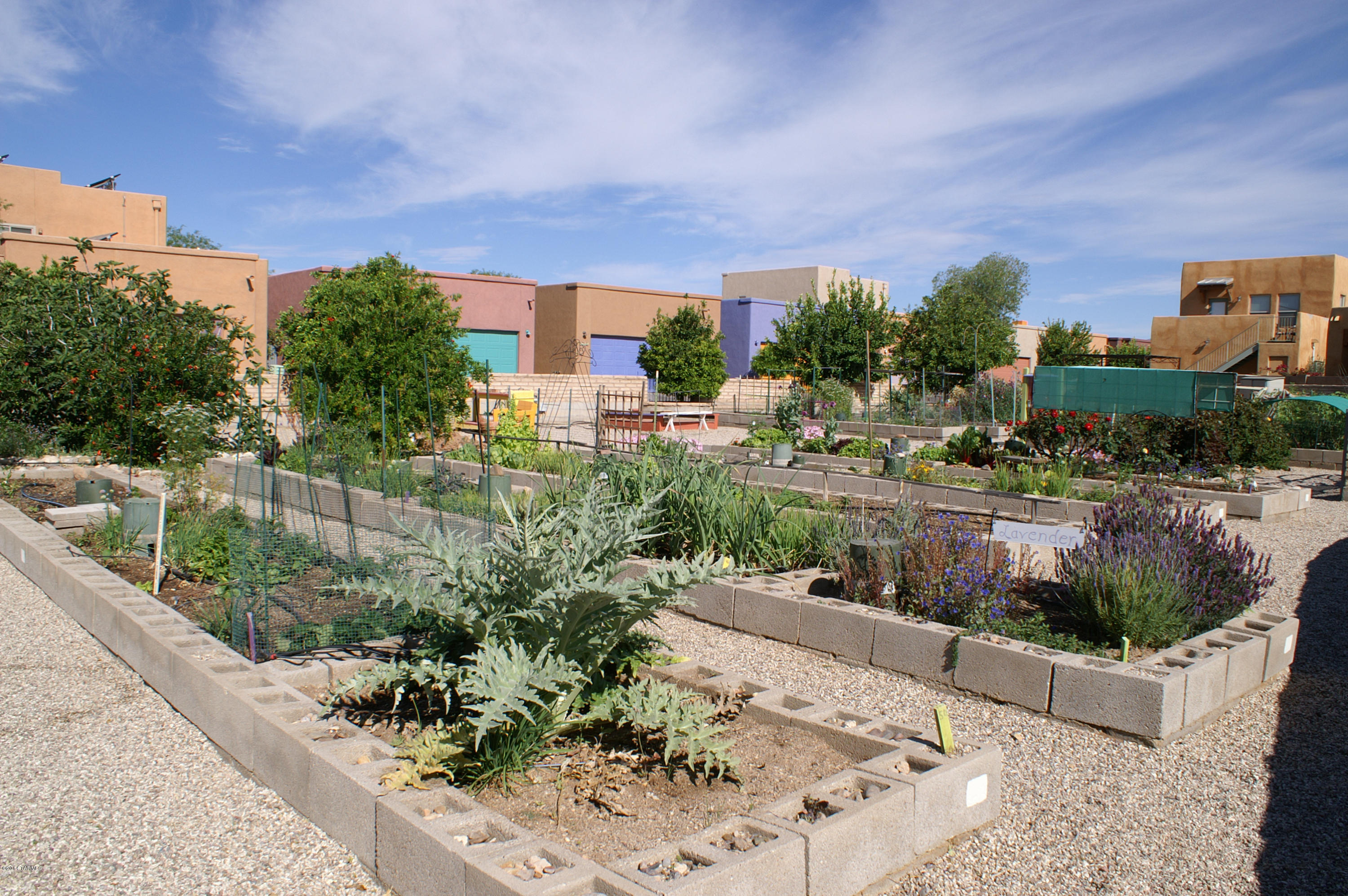 5460 South Creosote Ridge Way Tucson, AZ 85747 - Photo 16 of 24 Gallery Image 16