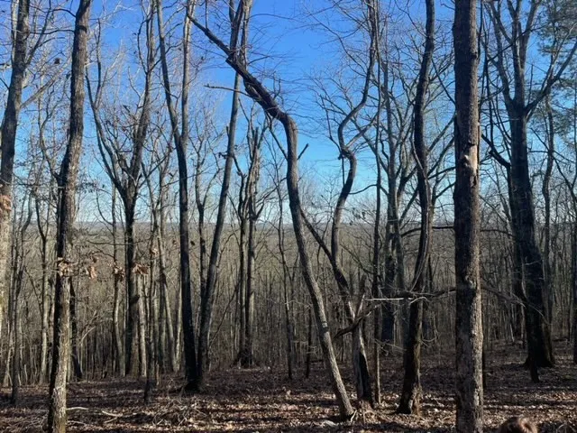 $10,000 | -lot3 Lot3 Mountain Ridge Drive, Talbotton, GA 31827