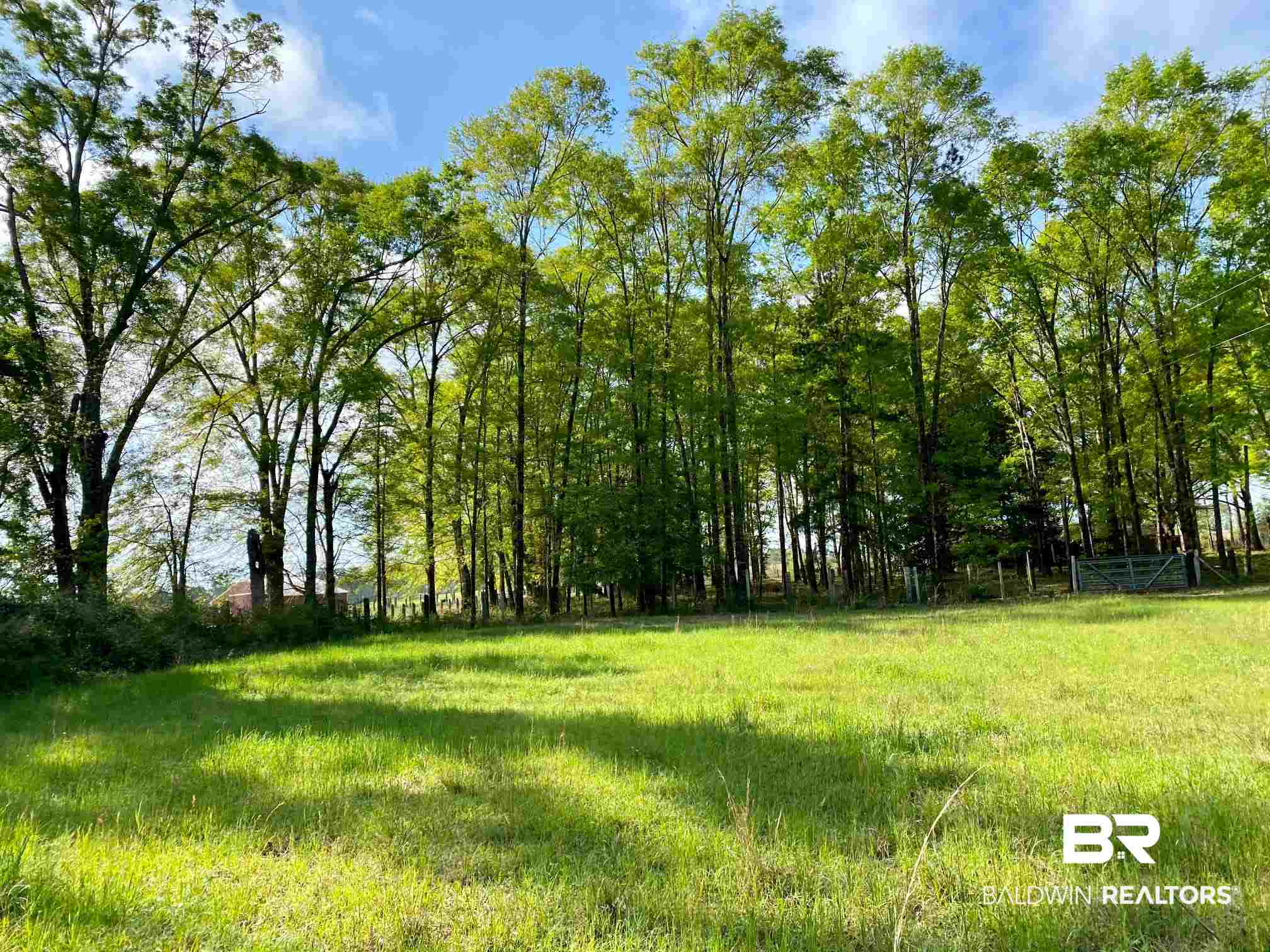 1069 Cemetery Road Range, AL 36473 - Photo 17 of 26