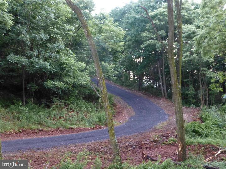 333 Nathaniel Mountain Road Moorefield, WV 26836 - Photo 15 of 65 PIC FROM 2005