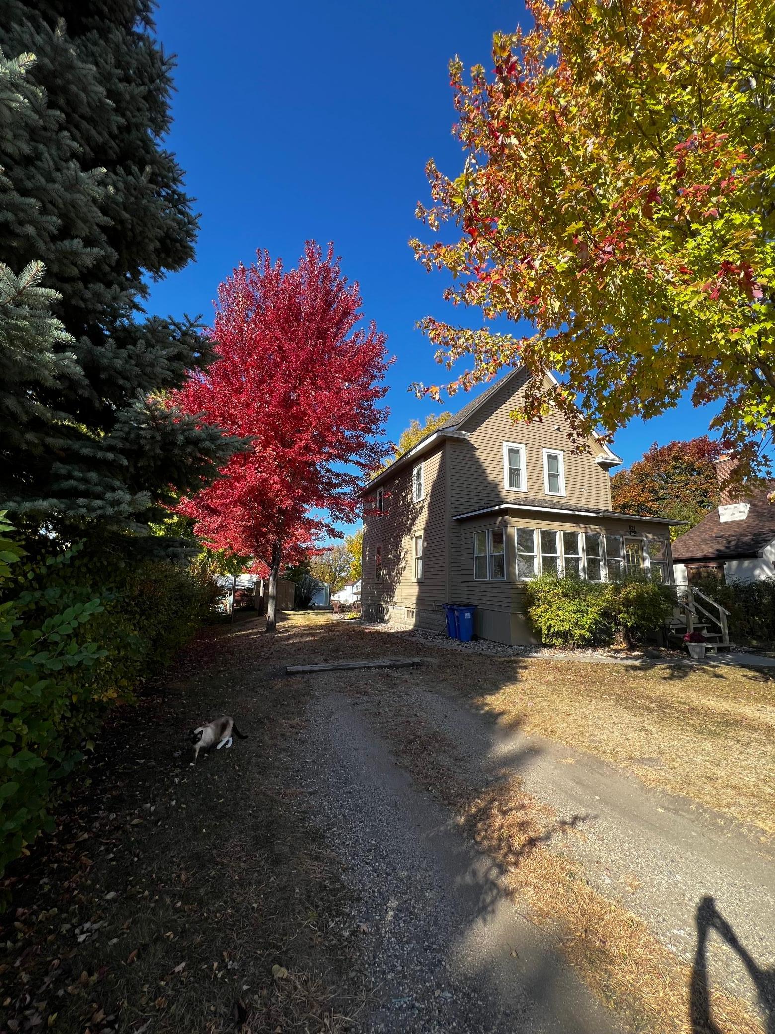 821 3rd Avenue Madison, MN 56256 - Photo 1 of 26