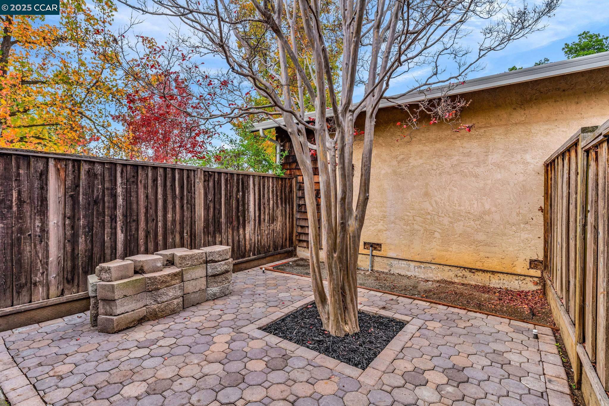 4597 Wildcat Lane Concord, CA 94521 - Photo 42 of 57 a view of a backyard with a tree
