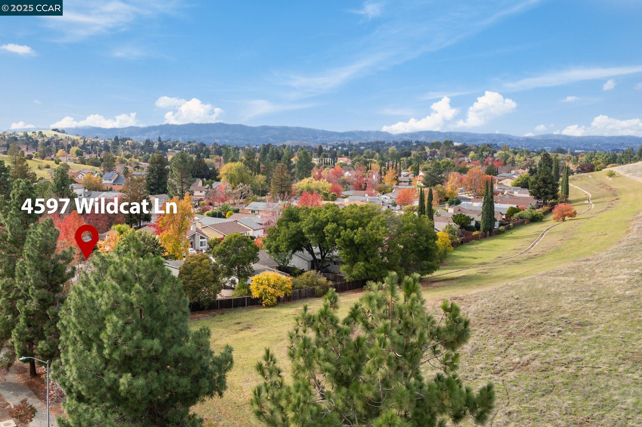 4597 Wildcat Lane Concord, CA 94521 - Photo 49 of 57 a view of a city