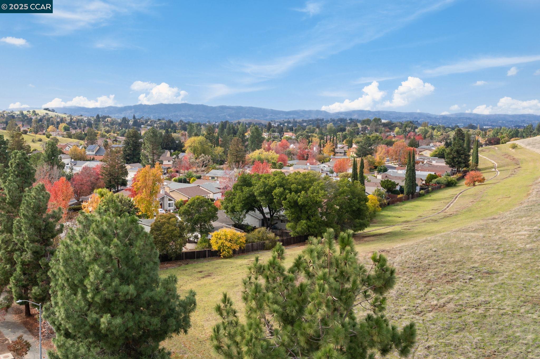 4597 Wildcat Lane Concord, CA 94521 - Photo 50 of 57 a view of a city